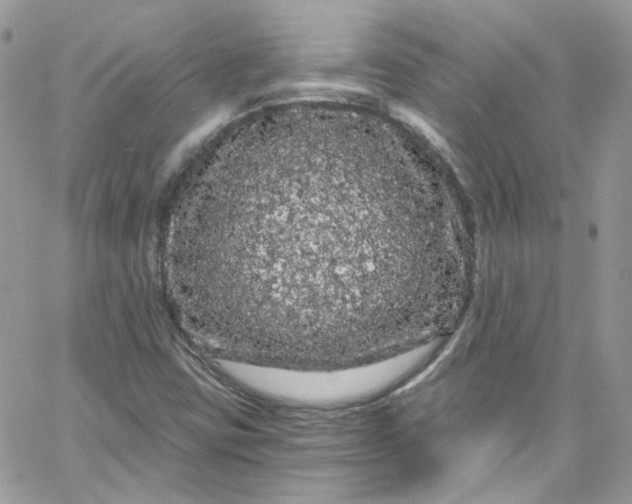 X0000066091403200603241445