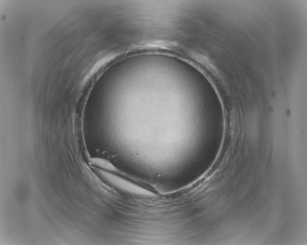 X0000066091404200603241445