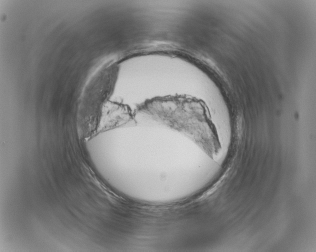 X0000066091405200603241445