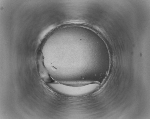 X0000066091406200603241445