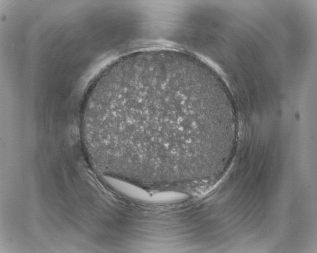 X0000066091407200603241445