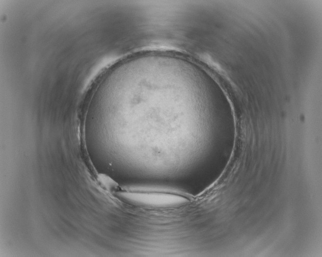 X0000066091408200603241445