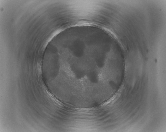 X0000066091409200603241445