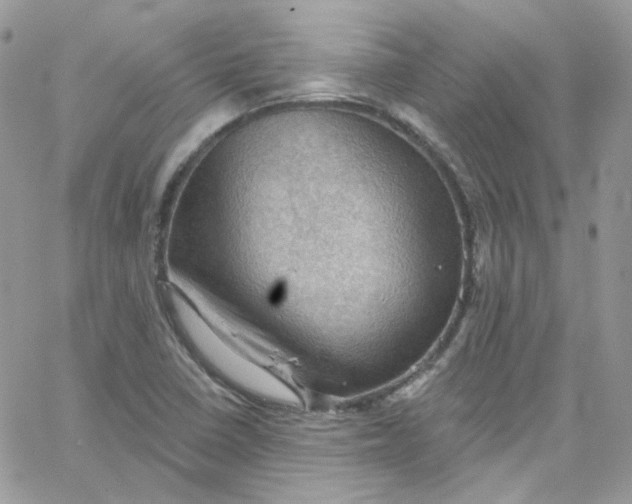 X0000066091410200603241445