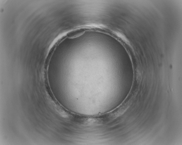 X0000066091412200603241445