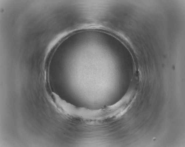 X0000066091414200603241445