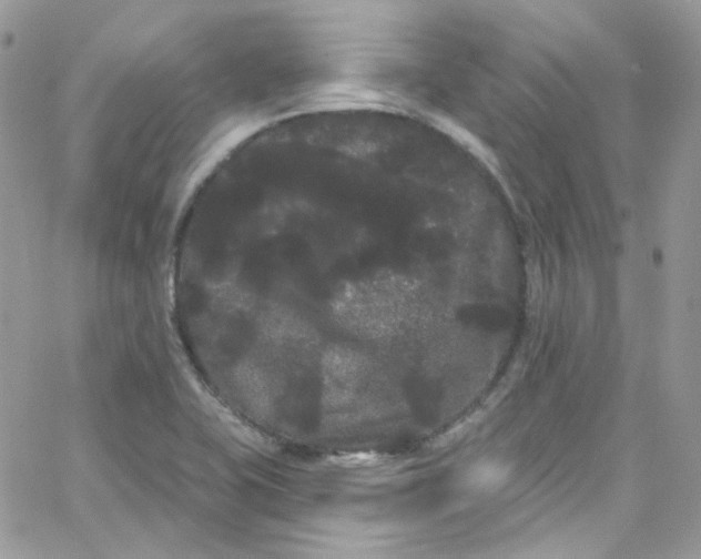 X0000066091415200603241445