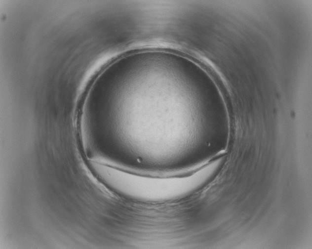 X0000066091416200603241445