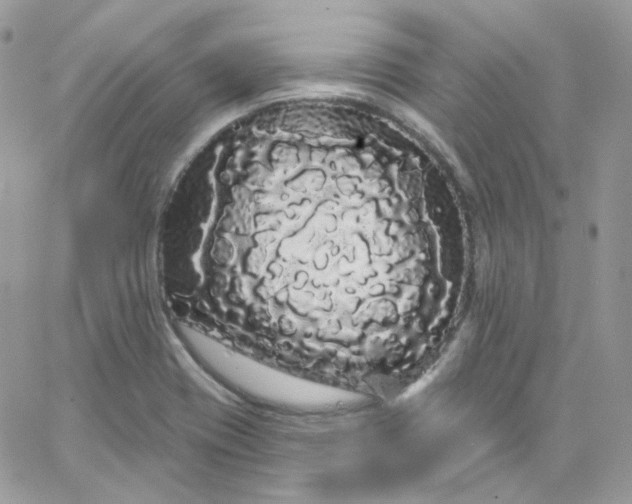 X0000066091417200603241445