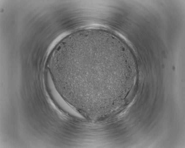 X0000066091418200603241445