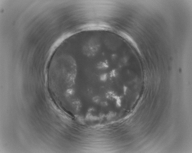 X0000066091419200603241445