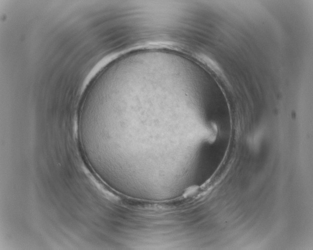 X0000066091420200603241445