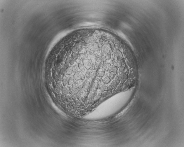 X0000066091421200603241445