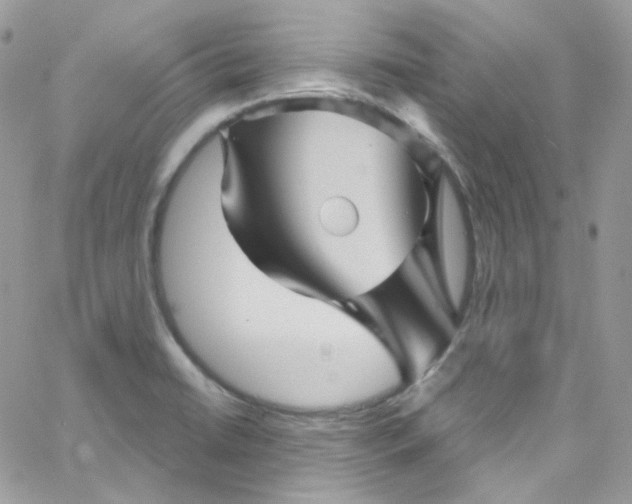 X0000066091422200603241445