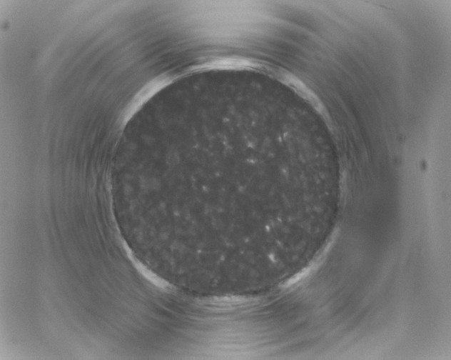 X0000066091425200603241445