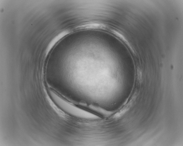 X0000066091426200603241445