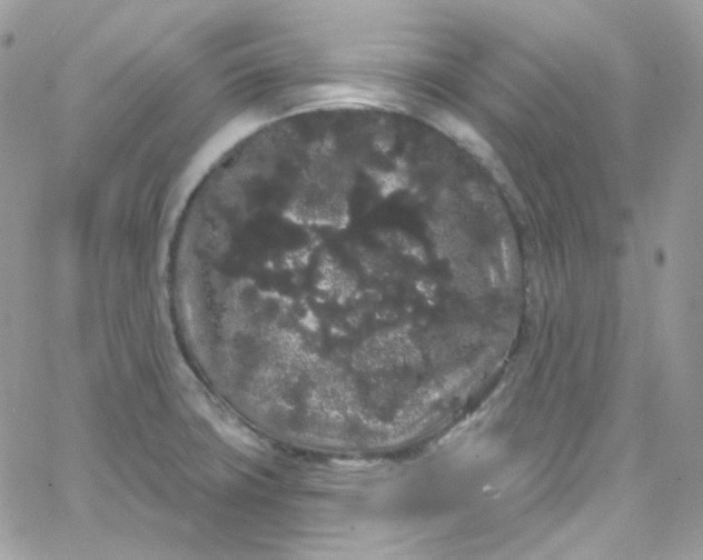 X0000066091427200603241445