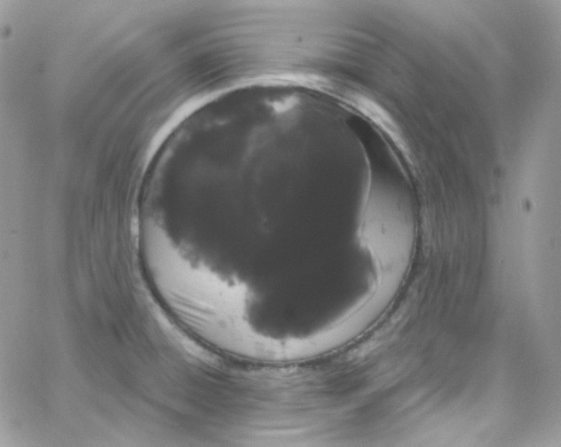 X0000066091428200603241446