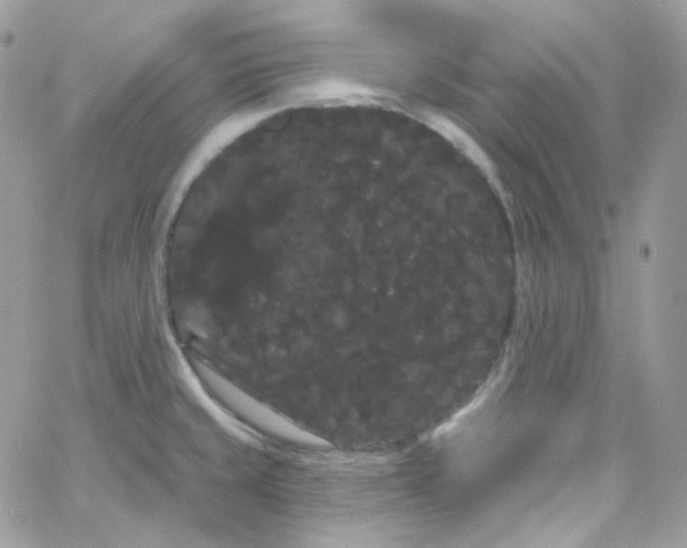 X0000066091429200603241446