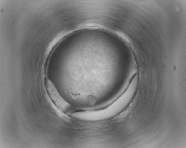 X0000066091430200603241446