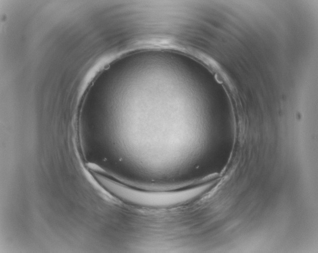 X0000066091432200603241446