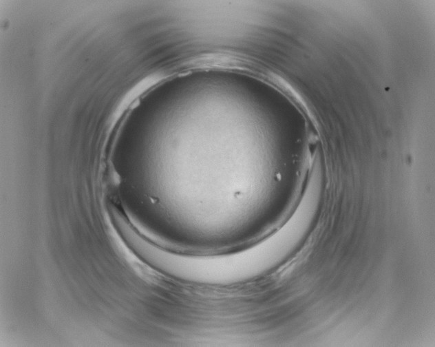 X0000066091434200603241446