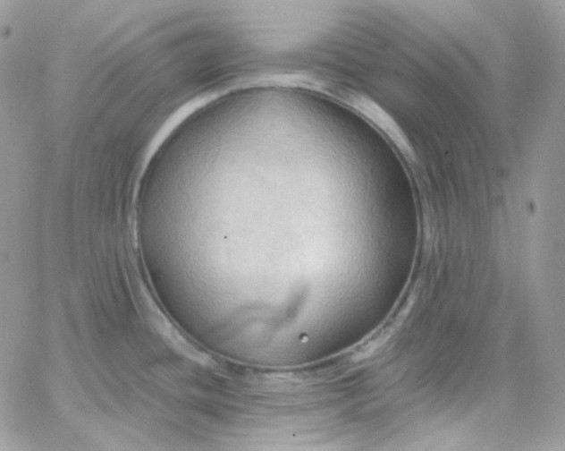 X0000066091436200603241446