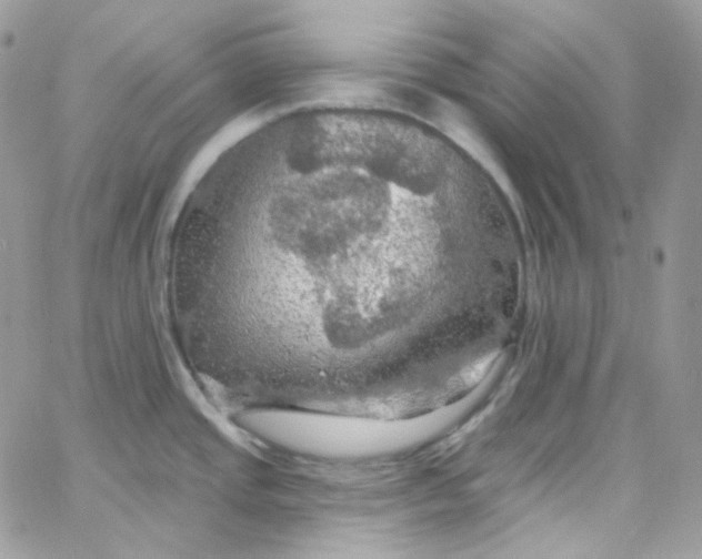 X0000066091437200603241446