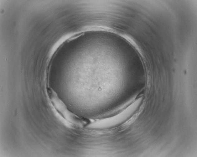 X0000066091438200603241446