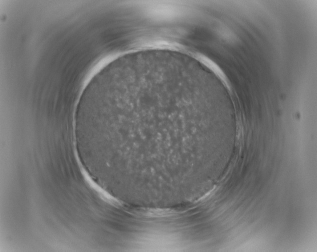 X0000066091439200603241446