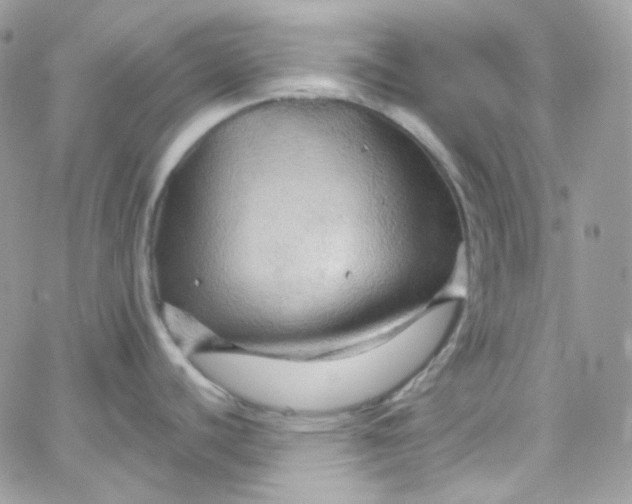 X0000066091440200603241446