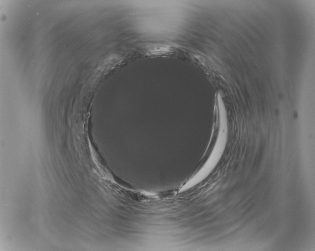 X0000066091441200603241445