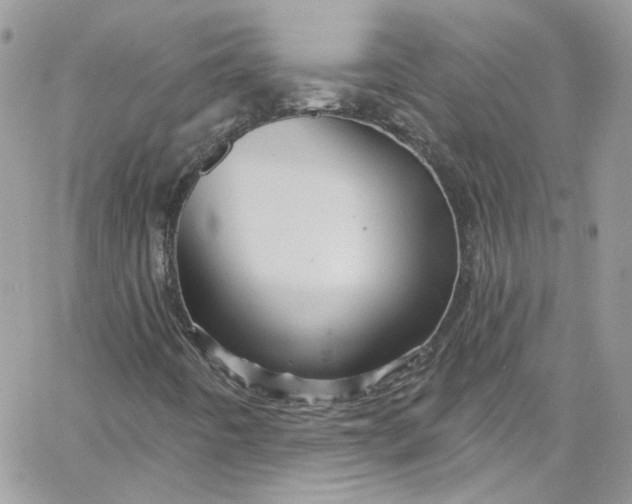 X0000066091442200603241445