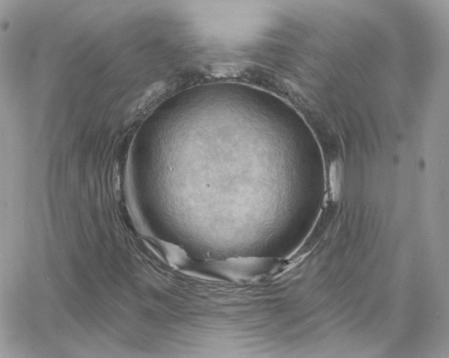 X0000066091443200603241445