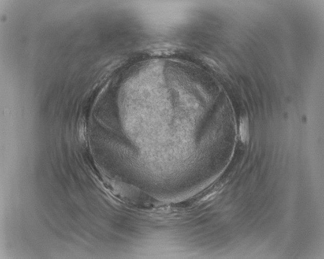 X0000066091444200603241445