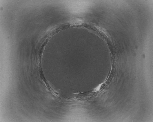 X0000066091445200603241445