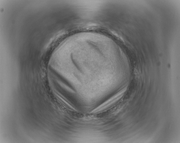 X0000066091447200603241445