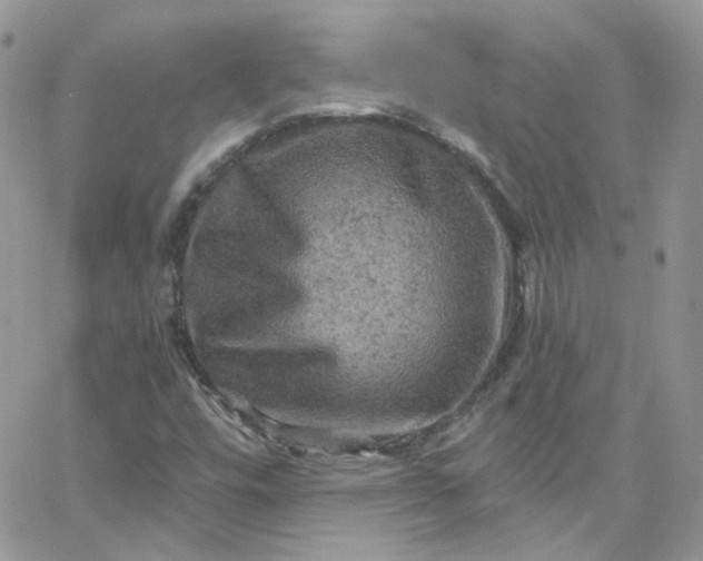 X0000066091448200603241445