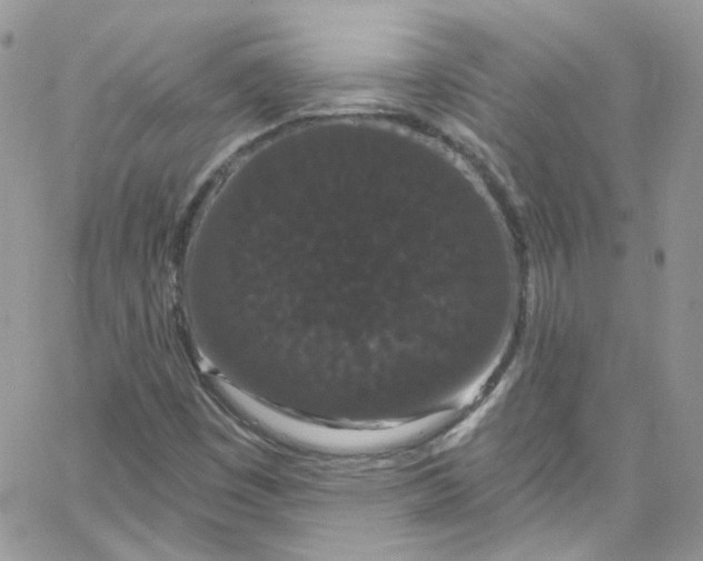 X0000066091449200603241445