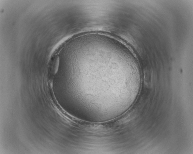 X0000066091452200603241445