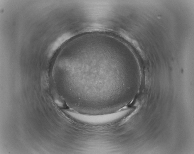 X0000066091453200603241445