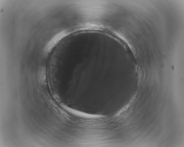 X0000066091455200603241445