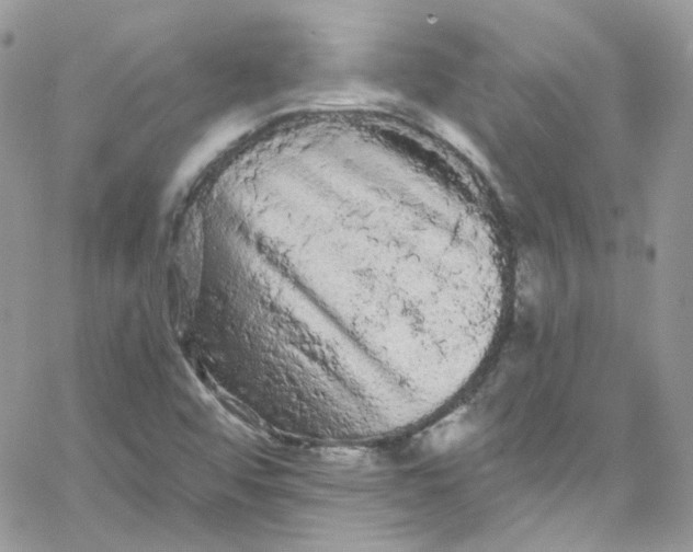 X0000066091456200603241445