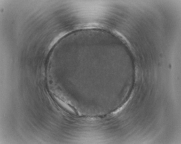 X0000066091457200603241445