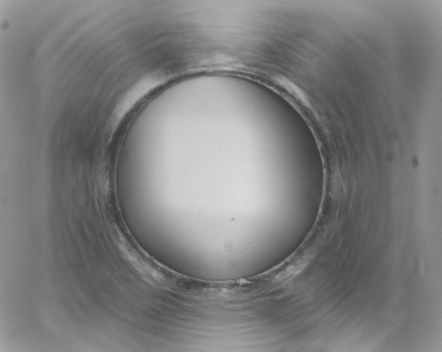 X0000066091458200603241445