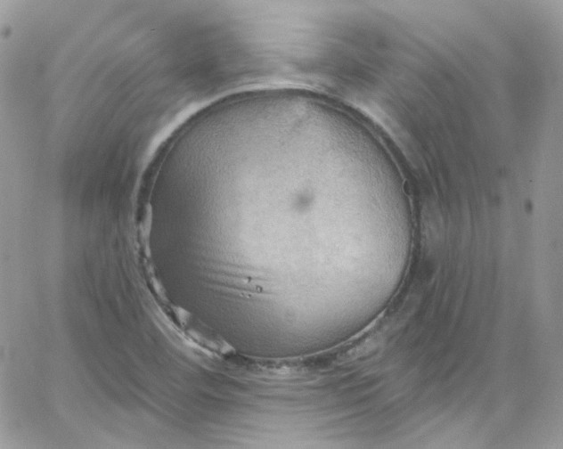 X0000066091460200603241445