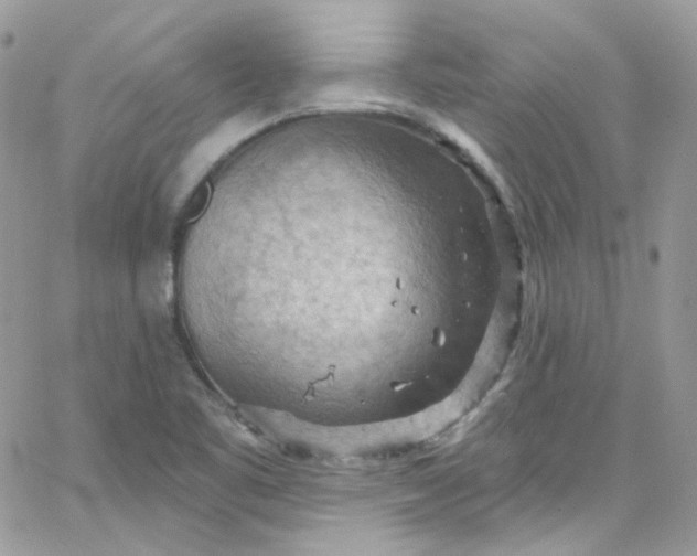 X0000066091461200603241445