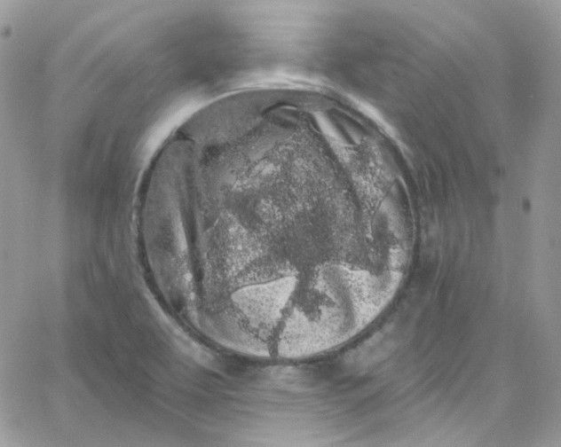 X0000066091463200603241445