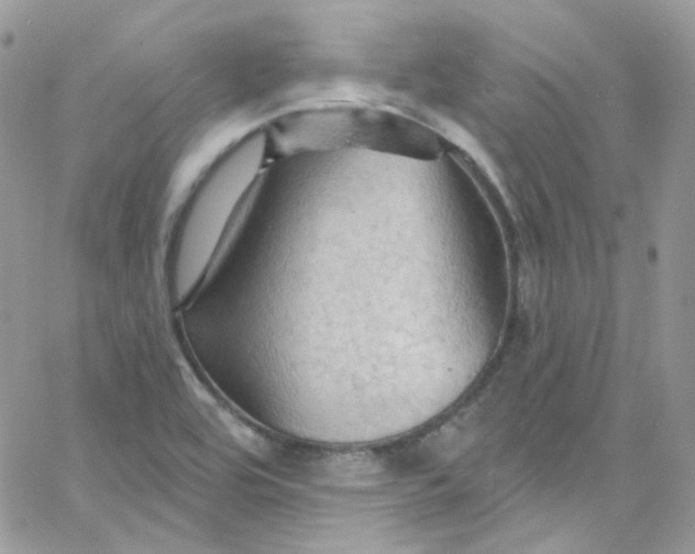 X0000066091464200603241445