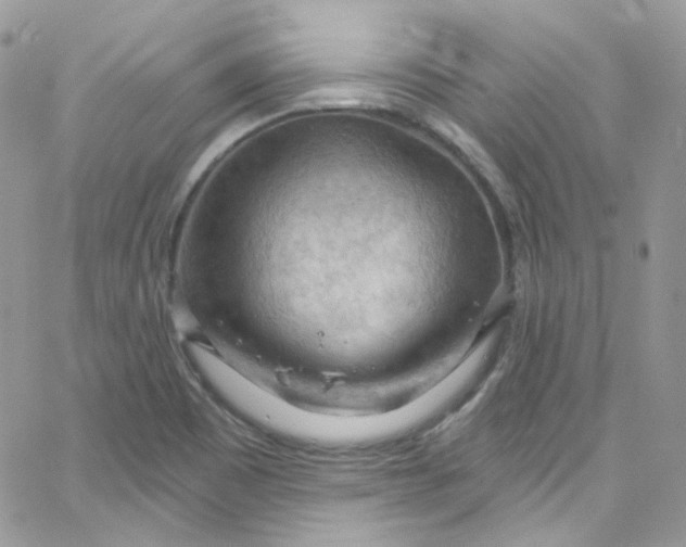 X0000066091465200603241445